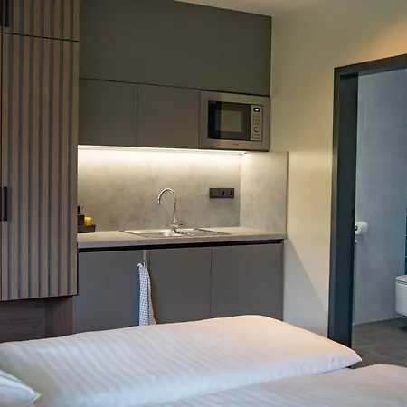 Lesni Guest house 4*