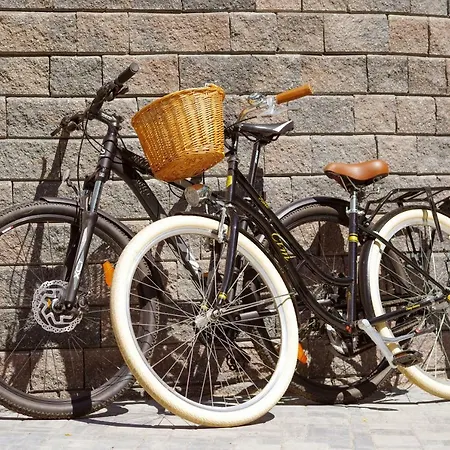 Lesni Pensjonat Milovice (Central Bohemian)