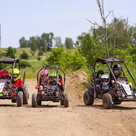 Lesni מילוביצה