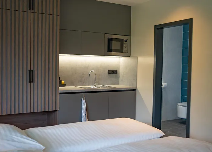 Lesni Guest house 4*