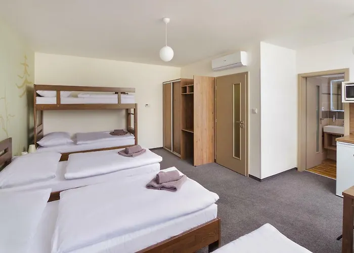 Guest house Lesni 4*